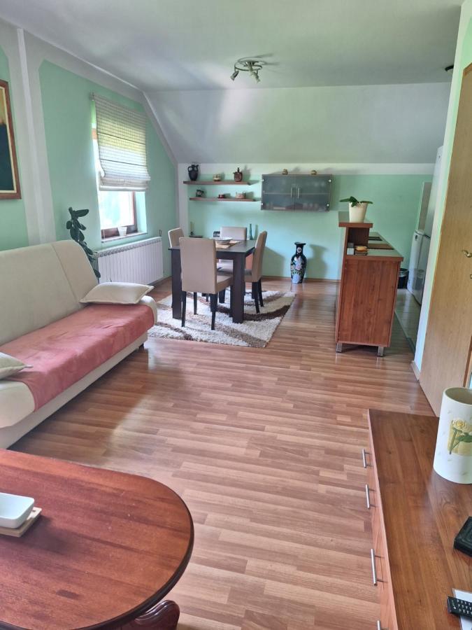 Apartman Sara Pale - Ski Centar Ravna Planina Exteriör bild